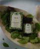 Tulsi Tablets