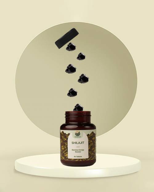 Ayurvedic Shilajit Tablets | Buy Shilajit Tablets Online