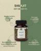 Ayurvedic Shilajit Tablets | Buy Shilajit Tablets Online